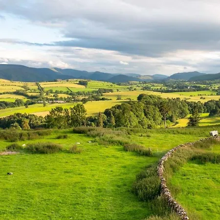 Feriehus Daffodil, *