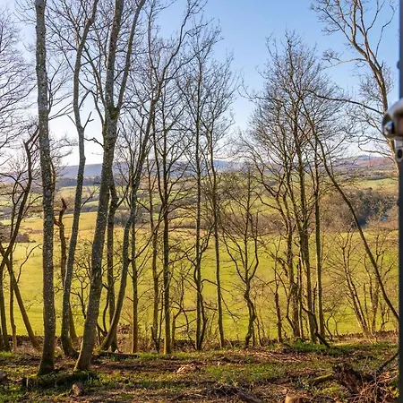 Daffodil, Eco & Dog Friendly With Hot Tub Penruddock